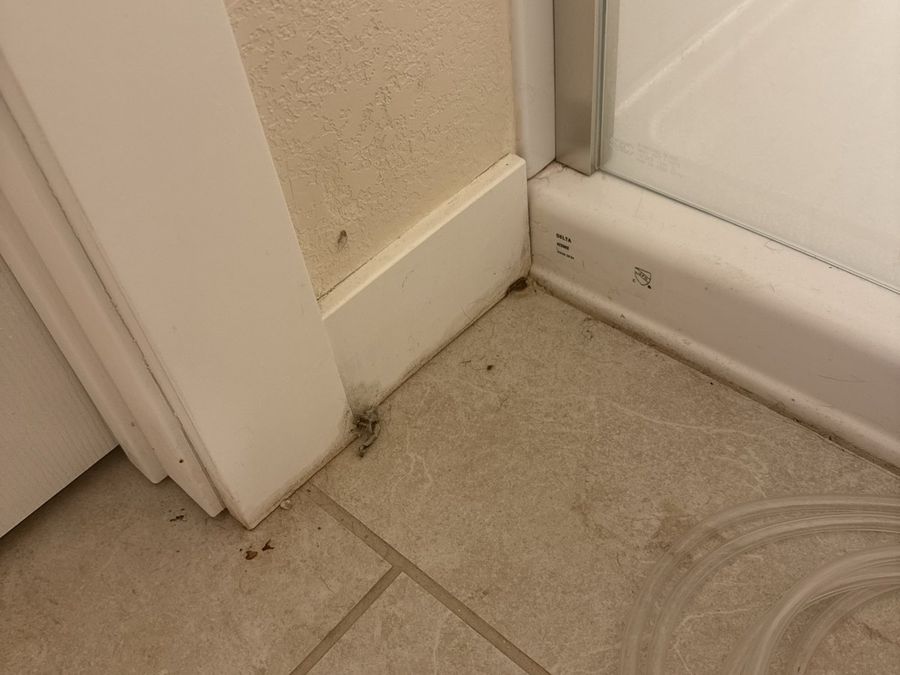 Water staining along a bathroom baseboard beside a shower in a Portland-area home