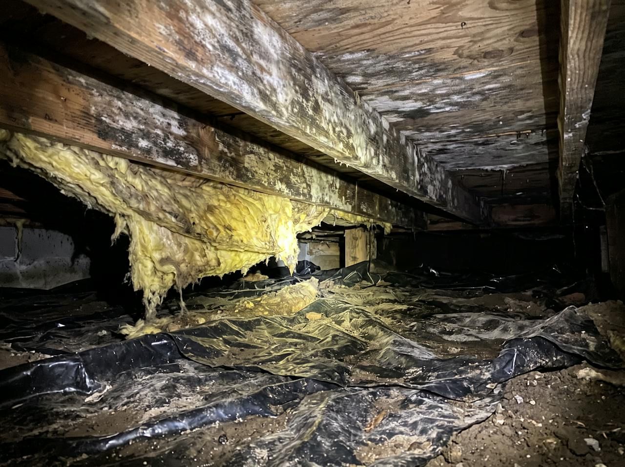 Mold on crawlspace joists from a slow leak